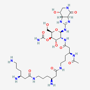 molecular formula C33H60N12O11 B1214546 Nbeta-Acetylstreptothricin D CAS No. 89020-28-0