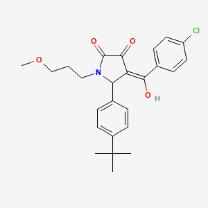 (4E)-5-(4-tert-butylphenyl)-4-[(4-chlorophenyl)(hydroxy)methylidene]-1-(3-methoxypropyl)pyrrolidine-2,3-dione