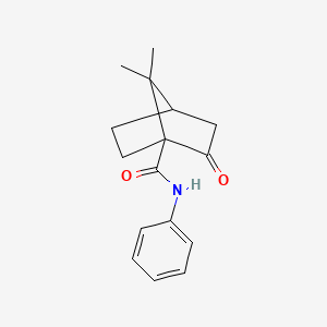 7,7-dimethyl-2-oxo-N-phenylbicyclo[2.2.1]heptane-1-carboxamide