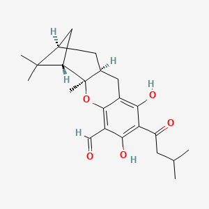 molecular formula C23H30O5 B1214972 (2alpha,4alpha,4abeta,9abeta)-(+)-2,3,4,4a,9,9a-Hexahydro-6,8-dihydroxy-3,3,4a-trimethyl-7-(3-methyl-1-oxobutyl)-2,4-methano-1H-xanthene-5-carboxaldehyde CAS No. 130288-57-2