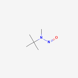 molecular formula C5H12N2O B1215122 叔丁基甲基亚硝胺 CAS No. 2504-18-9