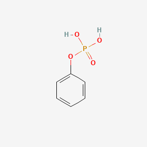 B1215402 Phenyl dihydrogen phosphate CAS No. 701-64-4