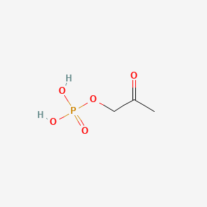 molecular formula C3H7O5P B1215409 Hydroxyacetone phosphate CAS No. 926-43-2
