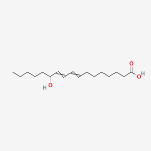 molecular formula C17H30O3 B1215431 12-Hydroxyheptadeca-8,10-dienoic acid 
