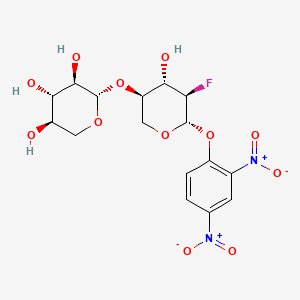 molecular formula C16H19FN2O12 B1215454 Dnp2FXb CAS No. 156271-23-7