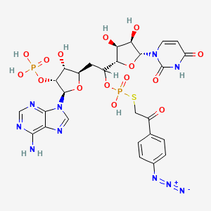 molecular formula C27H30N10O15P2S B1215595 5'-(((4-Azidophenacyl)thio)phosphoryl)adenylyl(3'-5')uridine CAS No. 85977-19-1