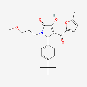 molecular formula C24H29NO5 B12155980 (4E)-5-(4-tert-butylphenyl)-4-[hydroxy(5-methylfuran-2-yl)methylidene]-1-(3-methoxypropyl)pyrrolidine-2,3-dione 