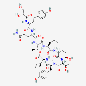 molecular formula C53H77N9O17 B1215864 N-[(2S,5S,8S,11R,12S,15S,18R,21R)-8-[(2R)-butan-2-yl]-21-hydroxy-2-[(1R)-1-hydroxyethyl]-5-[(4-hydroxyphenyl)methyl]-4,11-dimethyl-15-(2-methylpropyl)-3,6,9,13,16,22-hexaoxo-10-oxa-1,4,7,14,17-pentazabicyclo[16.3.1]docosan-12-yl]-2-[[(2S)-2-[[(2R)-2,3-dihydroxypropanoyl]amino]-4-(4-hydroxyphenyl)butanoyl]amino]pentanediamide CAS No. 172548-91-3