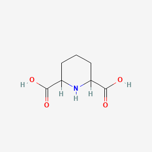 molecular formula C7H11NO4 B1216003 Piperidine-2,6-dicarboxylic acid CAS No. 499-82-1