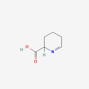 molecular formula C6H9NO2 B1216069 2,3,4,5-Tetrahydropyridine-2-carboxylic acid CAS No. 3038-89-9