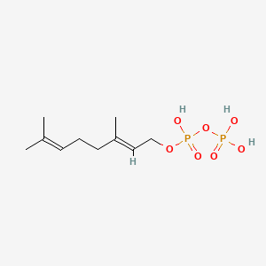 molecular formula C10H20O7P2 B1216152 Geranyl diphosphate CAS No. 763-10-0