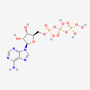 molecular formula C10H16N5O14P3 B1216194 Adenylyl 5'-peroxydiphosphate CAS No. 80589-10-2
