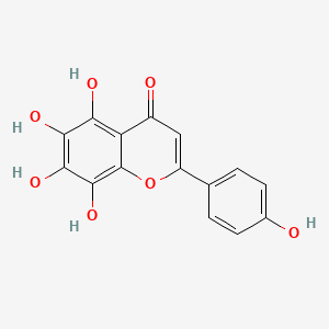 molecular formula C15H10O7 B1216202 5,6,7,8,4'-五羟基黄酮 CAS No. 577-26-4