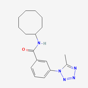 molecular formula C17H23N5O B12163867 N-cyclooctyl-3-(5-methyl-1H-tetrazol-1-yl)benzamide 