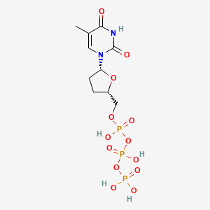 molecular formula C10H17N2O13P3 B1216396 2',3'-Dideoxythymidine triphosphate CAS No. 611-60-9