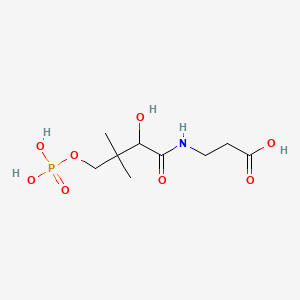 molecular formula C9H18NO8P B1216635 3-[[(2R)-2-hydroxy-3,3-dimethyl-4-phosphonooxybutanoyl]amino]propanoicacid 