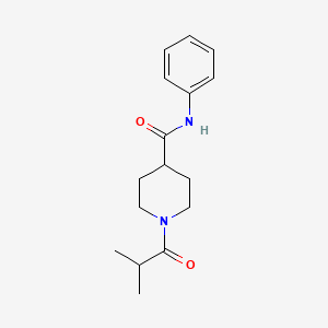 molecular formula C16H22N2O2 B12166745 1-(2-methylpropanoyl)-N-phenylpiperidine-4-carboxamide 