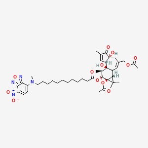 molecular formula C43H58N4O12 B1216771 Nbd-tpa CAS No. 137034-69-6