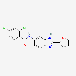 2,4-dichloro-N-[2-(tetrahydrofuran-2-yl)-1H-benzimidazol-5-yl]benzamide