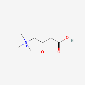 molecular formula C7H14NO3+ B1216854 3-Carboxy-N,N,N-trimethyl-2-oxo-1-propanaminium 