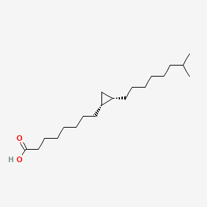 molecular formula C20H38O2 B1216992 17-Methyl-9,10-methyleneoctadecanoic acid CAS No. 87590-99-6