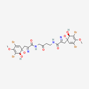 molecular formula C24H24Br4N4O9 B1217082 11-Oxoaerothionin CAS No. 73622-23-8