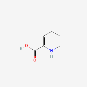 molecular formula C6H9NO2 B1217274 1,4,5,6-四氢吡啶-2-羧酸 CAS No. 99839-26-6
