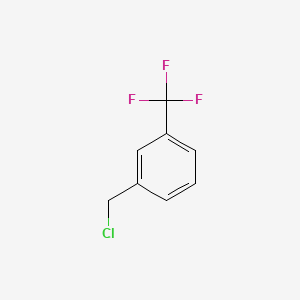molecular formula C8H6ClF3 B1217364 1-(氯甲基)-3-(三氟甲基)苯 CAS No. 705-29-3