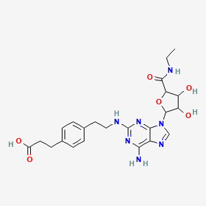 molecular formula C23H29N7O6 B1217416 3-[4-[2-[[6-Amino-9-[5-(ethylcarbamoyl)-3,4-dihydroxy-2-oxolanyl]-2-purinyl]amino]ethyl]phenyl]propanoic acid 