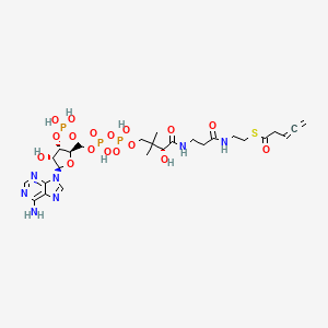 molecular formula C26H40N7O17P3S B1217504 3,4-Pentadienoyl-coa CAS No. 84061-72-3