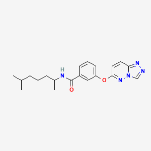 molecular formula C20H25N5O2 B12176504 N-(6-methylheptan-2-yl)-3-([1,2,4]triazolo[4,3-b]pyridazin-6-yloxy)benzamide 