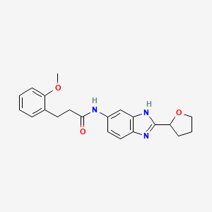 molecular formula C21H23N3O3 B12178130 3-(2-methoxyphenyl)-N-[2-(tetrahydrofuran-2-yl)-1H-benzimidazol-5-yl]propanamide 