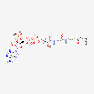 molecular formula C27H42N7O17P3S B1217961 Methylenecyclopropyl acetyl-coa CAS No. 56898-43-2