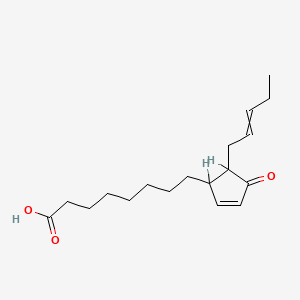 molecular formula C18H28O3 B1217995 12-氧代植物二烯酸 