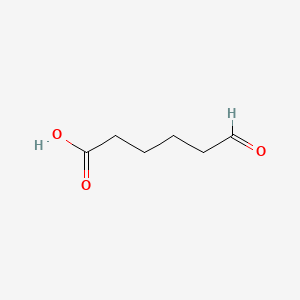 molecular formula C6H10O3 B1218020 6-Oxohexanoic acid CAS No. 928-81-4