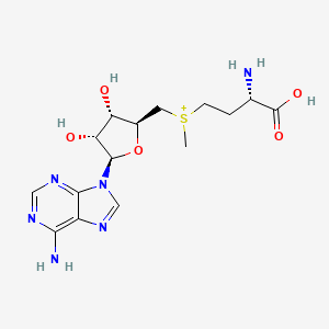 B1218185 S-adenosyl-L-methionine CAS No. 485-80-3