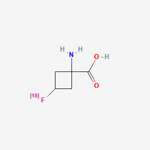 molecular formula C5H8FNO2 B1218386 氟环己胺 (18F) CAS No. 222727-39-1