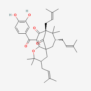 molecular formula C38H50O6 B1218575 9H-4a,8-甲烷-2H-环辛(b)吡喃-9,11-二酮，10-(3,4-二羟基苯甲酰基)-3,4,5,6,7,8-六氢-2,2,7,7-四甲基-3,6,8-三(3-甲基-2-丁烯基)-，(3R,4aR,6R,8S)- CAS No. 52617-33-1