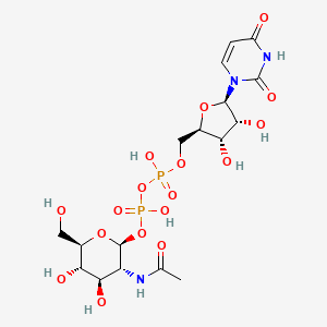 B1218782 Uridine diphosphate-N-acetylglucosamine CAS No. 528-04-1