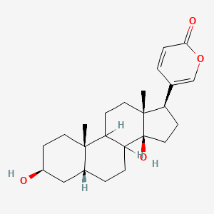 molecular formula C24H34O4 B1218994 5-[(3S,5R,10S,13R,14S,17R)-3,14-dihydroxy-10,13-dimethyl-1,2,3,4,5,6,7,8,9,11,12,15,16,17-tetradecahydrocyclopenta[a]phenanthren-17-yl]pyran-2-one 