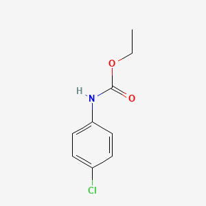 molecular formula C9H10ClNO2 B1219002 N-(4-氯苯基)氨基甲酸乙酯 CAS No. 2621-80-9