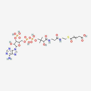 molecular formula C26H40N7O19P3S B1219056 Coenzyme A, glutaconyl- CAS No. 6712-05-6