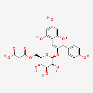 molecular formula C24H23O13+ B1219129 天竺葵红素 3-O-(6-O-丙二酰-β-D-葡萄糖苷) CAS No. 165070-68-8