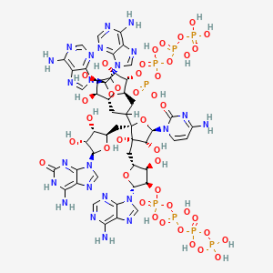 B1219372 Triadenylyl-(2'-3')-adenylyl-cytidylic acid CAS No. 77354-26-8