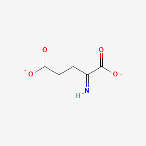molecular formula C5H5NO4-2 B1219421 Iminoglutarate CAS No. 23648-80-8