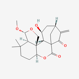 (4S,8R,9R,12S,13S,14S,16R)-14-hydroxy-9-methoxy-7,7-dimethyl-17-methylidene-3,10-dioxapentacyclo[14.2.1.01,13.04,12.08,12]nonadecane-2,18-dione
