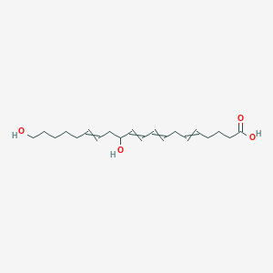 12,20-Dihydroxy-5,8,10,14-eicosatetraenoic acid