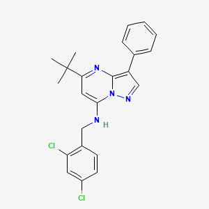 5-tert-butyl-N-[(2,4-dichlorophenyl)methyl]-3-phenylpyrazolo[1,5-a]pyrimidin-7-amine