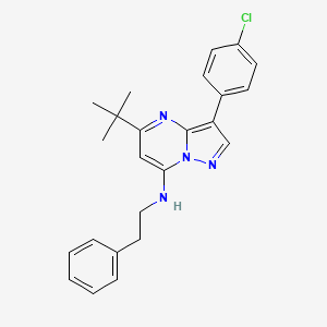 molecular formula C24H25ClN4 B12198773 5-tert-butyl-3-(4-chlorophenyl)-N-(2-phenylethyl)pyrazolo[1,5-a]pyrimidin-7-amine 