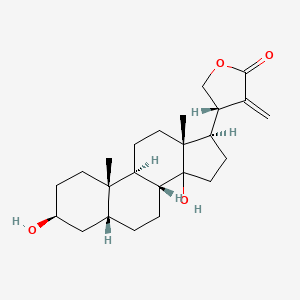 B1219888 (4S)-4-[(3S,5R,8R,9S,10S,13R,17R)-3,14-dihydroxy-10,13-dimethyl-1,2,3,4,5,6,7,8,9,11,12,15,16,17-tetradecahydrocyclopenta[a]phenanthren-17-yl]-3-methylideneoxolan-2-one CAS No. 69489-48-1